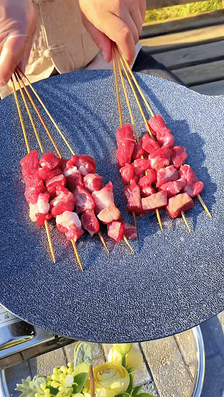 Frigideira grelhadora portátil para churrasco e campismo